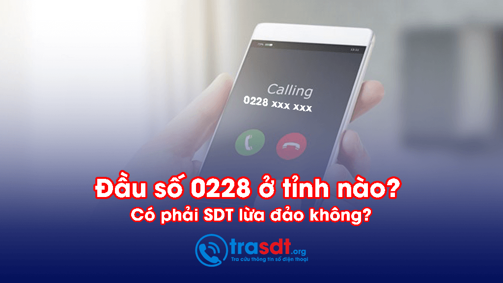 dau so 0228 o tinh nao